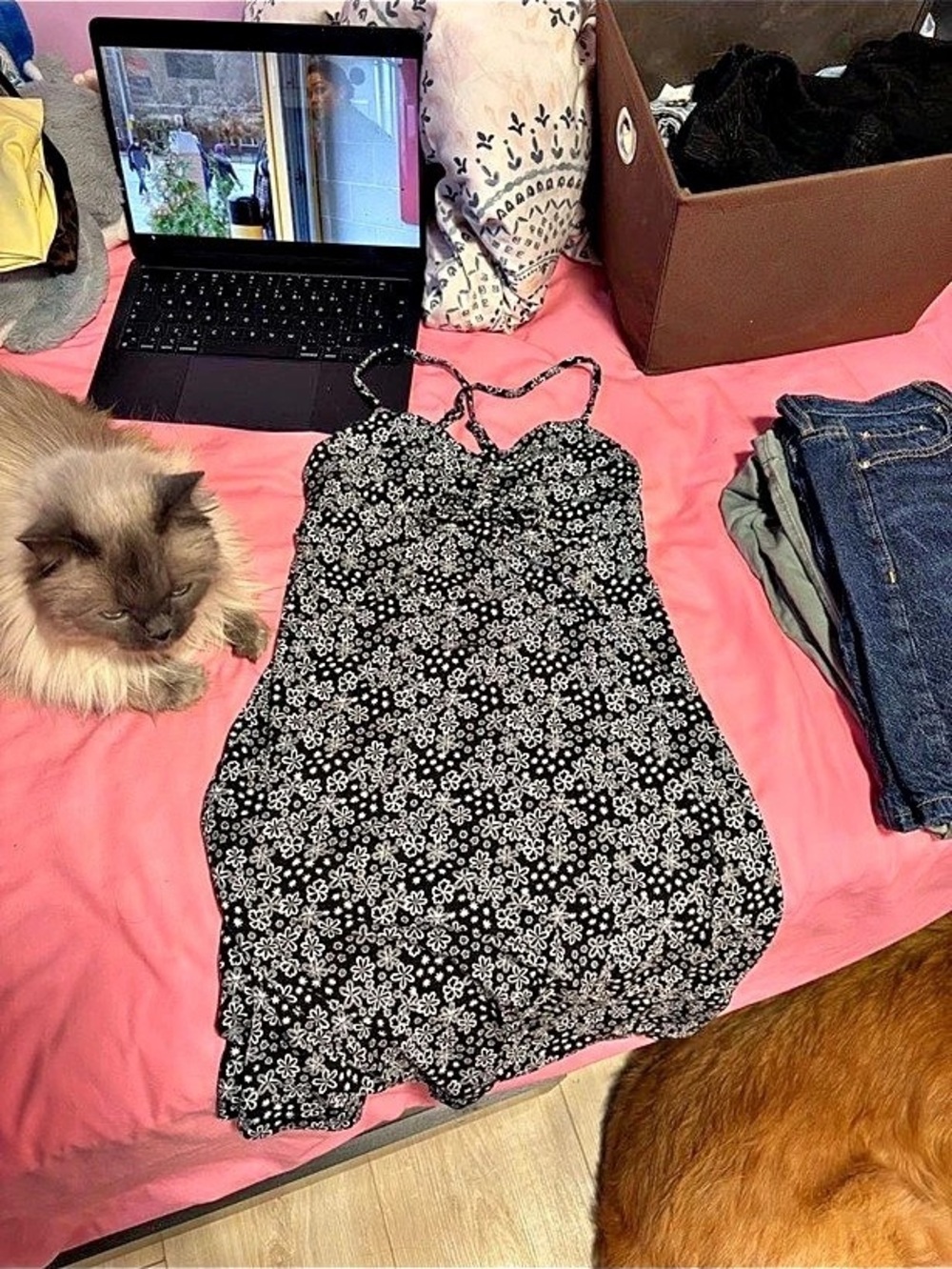 Floral Mini Dress in Black & White Like New